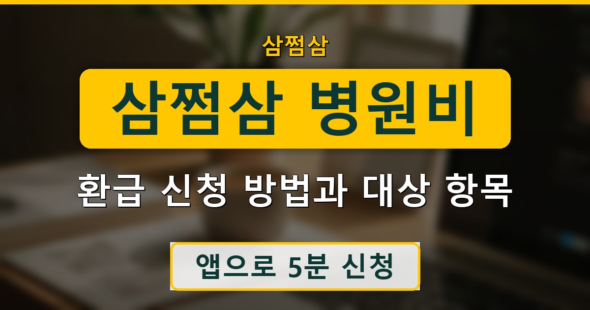 삼쩜삼 병원비 환급 신청 방법과 대상 항목 정리